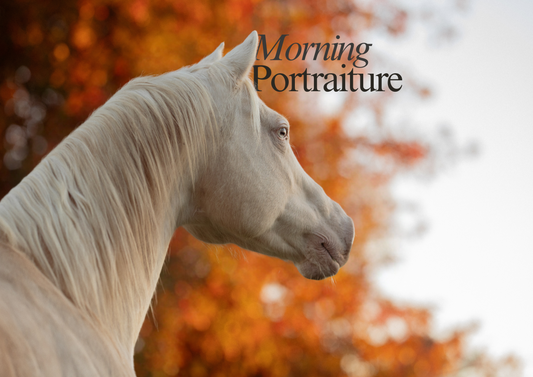 Morning Portraiture